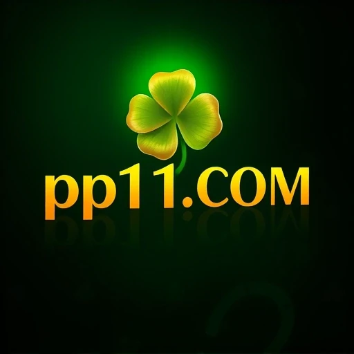 pp11.COM